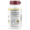 NutriBiotic, GSE, экстракт косточек грейпфрута, 250мг, 60 капсул