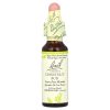 Bach, Original Flower Remedies, почки каштана, от нервного напряжения, 10мл