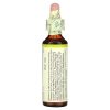 Bach, Original Flower Remedies, оливковое дерево, восстановление энергии, Olive, 20 мл