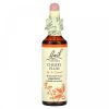 Bach, Original Flower Remedies, алыча, контроль и позитивное мышление, Cherry Plum, 20 мл