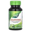 Nature's Way, Chlorofresh, Концентрат хлорофилла, 90 капсул