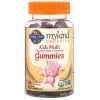 Garden of Life, Мультивитамины для детей, MyKind kids, фрукты, 120 мишек