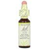 Bach, Original Flower Remedies, Olive, оливковое дерево, восстановление энергии, 10 мл