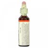 Bach, Original Flower Remedies, Aspen, осина, безопасность и спокойствие, 20 мл