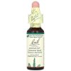 Bach, Original Flower Remedies, Agrimony, репейник, снимает усталость и успокаивает, 10 мл