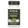 Nature's Way, Chlorofresh, Концентрат хлорофилла, 90 капсул