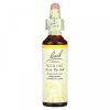 Bach, Original Flower Remedies, дикий овес, от нерешительности и сомнений, Wild Oat, 20 мл