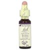 Bach, Original Flower Remedies, Impatiens, Недотрога, от раздражительности и нервозности, 10 мл