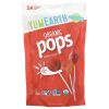 YumEarth, органические леденцы, ассорти, без глютена, Organic Pops, 14 леденцов