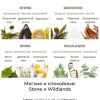 Harry's, Гель для душа для мужчин, аромат Wildlands: кипарис, эвкалипт и береза, 473 мл
