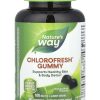 Nature's Way, Chlorofresh, хлорофилл, 60 жевательных мармеладок