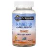 Garden of Life, Dr. Formulated, Магний с пребиотиками и пробиотиками, вкус апельсиновый крем, 60 таблеток