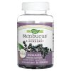 Nature's Way, Бузина для детей 2+, Sambucus for Kids, 60 мишек
