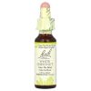 Bach, Original Flower Remedies, белый каштан, спокойствие и умиротворение, White Chestnut, 10мл