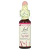 Bach, Original Flower Remedies, Larch, лиственница, уверенность и спокойствие, 10 мл