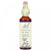 Bach, Original Flower Remedies, недотрога (бальзамин), натуральное успокоительное, Impatiens, 20 мл