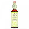 Bach, Rescue Remedy, Mustard, горчица, возвращает радость и бодрость, 20мл