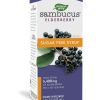 Nature's Way, Sambucus Sugar free, Экстракт бузины, без сахара, 6400 мг, 120мл
