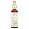 Bach, Original Flower Remedies, Вифлеемская звезда, Star of Bethlehem, горе и потрясения, 20 мл