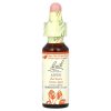 Bach, Original Flower Remedies, Aspen, осина, безопасность и спокойствие, 10мл