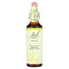 Bach, Original Flower Remedies, оливковое дерево, восстановление энергии, Olive, 20 мл
