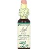 Bach, Original Flower Remedies, Holly, падуб, от раздражительности и неуверенности, 10 мл