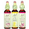 Bach, Original Flower Remedies, Comfort Kit, Набор для успокоения и радости, 3 по 20 мл