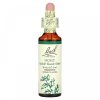 Bach, Original Flower Remedies, Holly, падуб, доброжелательное отношение к другим, 20 мл