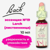 Bach, Original Flower Remedies, Larch, лиственница, уверенность и спокойствие, 10 мл
