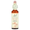 Bach, Original Flower Remedies, каменная роза, Bach, против страха и беспокойства, Rock Rose, 20 мл
