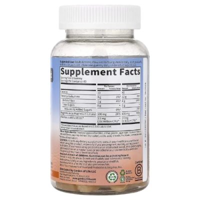 Garden of Life, Dr. Formulated, Магний с пребиотиками и пробиотиками, вкус апельсиновый крем, 60 таблеток