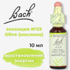 Bach, Original Flower Remedies, Olive, оливковое дерево, восстановление энергии, 10 мл