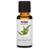 Now Foods, Eucalyptus Oil, эфирное масло, эвкалипт, 30 мл