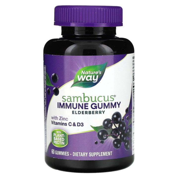 Nature's Way, Sambucus Elderberry, Экстракт бузины для иммунитета, 60 жевательных таблеток