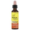 Bach, Rescue Remedy, капли для спокойствия и уверенности, апельсин и манго, 20 мл - до 08/26