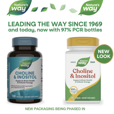 Nature's Way, Choline&Inositol, Холин и инозитол, 1000 мг, 100 капсул