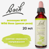 Bach, Original Flower Remedies, Wild Rose, Дикая роза, снятие нервного напряжения, 20 мл