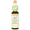 Bach, Original Flower Remedies, Hornbeam, Граб, против тревожности и стресса, 10мл