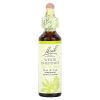 Bach, Original Flower Remedies, белый каштан, спокойствие и умиротворение, White Chestnut, 20 мл