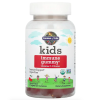 Garden of Life, Kids Immune gummy, поддержка иммунитета, дети +4, вишня, 60 жев таб