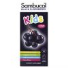 Sambucol, Сироп из черной бузины для детей, поддержка иммунитета, вкус ягод, 120 мл