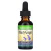 Herbs for Kids, Minty Ginger, Капли для пищеварения для детей от 1 года, мятный имбирь, 30 мл