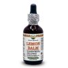Hawaii Pharm, Lemon Balm, Жидкий экстракт мелиссы, для снижения тревожности и стресса, 120 мл