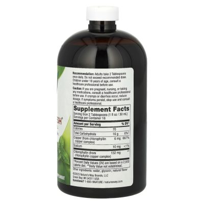 Nature's Way, Chlorofresh, жидкий хлорофилл, с ароматом мяты, 480 мл