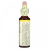 Bach, Original Flower Remedies, дикий овес, от нерешительности и сомнений, Wild Oat, 20 мл