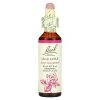 Bach, Original Flower Remedies, крабовое яблоко, от тревоги и навязчивых мыслей, Crab Apple, 20 мл