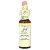 Bach, Original Flower Remedies, Wild Oat, дикий овес, от нерешительности и сомнений, 10мл