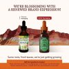 Herbs Etc., ChlorOxygen, концентрат хлорофилла, без спирта, мята, Chlorophyll Concentrate, Mint, 59 мл