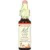 Bach, Original Flower Remedies, Cherry Plum, алыча, контроль и позитивное мышление, 10 мл