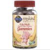 Garden of Life, Мультивитамины для детей, MyKind kids, вкус вишня, 120 мишек